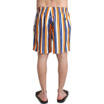 Dolce & Gabbana Multicolor Striped Beachwear Swimshorts BIK1075-IT4