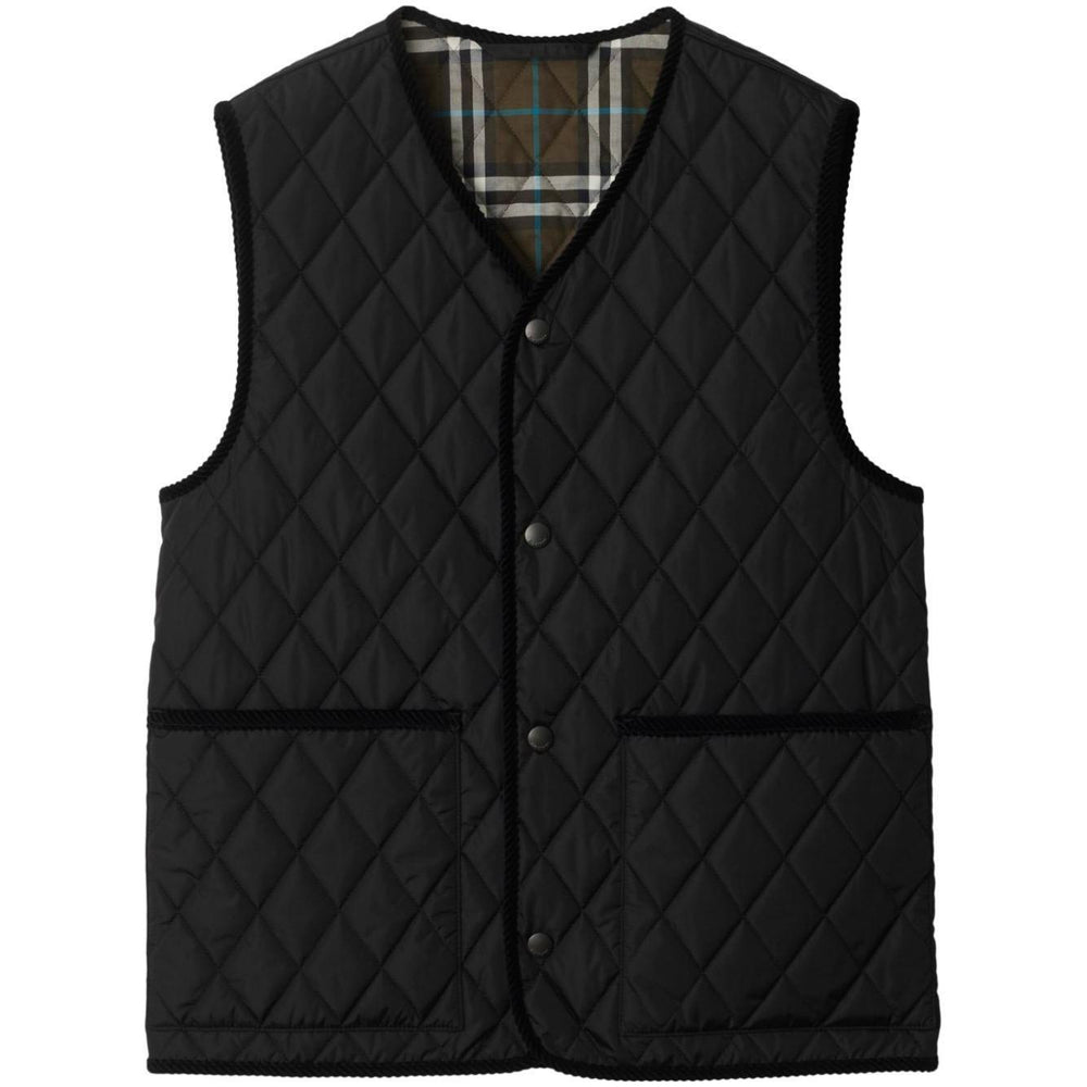 Burberry Nylon quilted sleeveless jacket 8104909A1189-P25