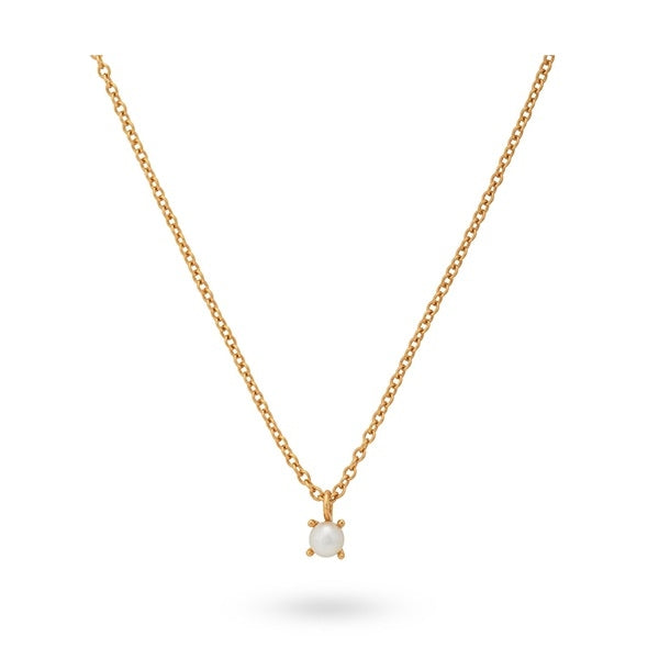 24KAE JEWELS JEWELRY Mod. 32405Y gold necklace with a single pearl pendant on a white background
