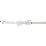 Dolce & Gabbana Ivory Silk Adjustable Neck Papillon Men Bow Tie FT3788
