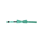 Dolce & Gabbana Mint Green Silk Adjustable Neck Men Bow Tie