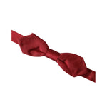 Dolce & Gabbana Red Silk Jacquard Adjustable Neck Men Bow Tie FT3916