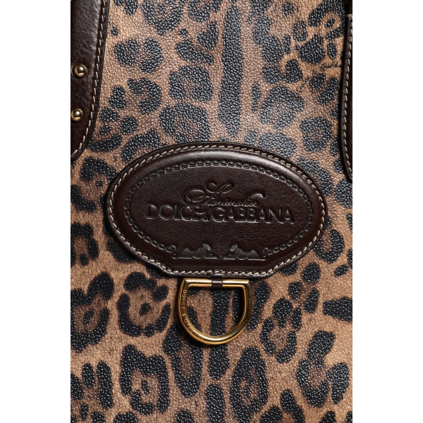 Dolce & Gabbana Brown Leopard Leather Shoulder Strap Tote Bag BAG4328