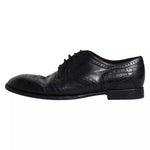 Dolce & Gabbana Dark Blue Leather Derby Wingtip Formal Shoes MV6459-44