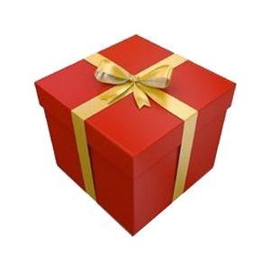 GIFT WRAPPING / CONFEZIONE REGALO / PAQUET CADEAUX / PAQUETE REGALO SUBSCRIPTIONS