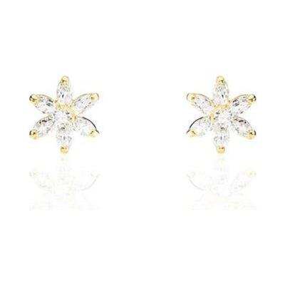 STROILI Mod. 14017896