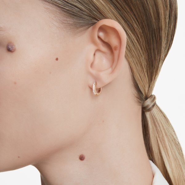 Close-up of a model wearing SWAROVSKI Mod. 5690669 silver earrings, showcasing elegant design suitable for elegant ladies.