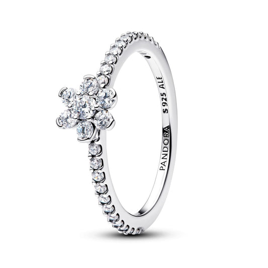 PANDORA JEWELRY Mod. 194499C01-54