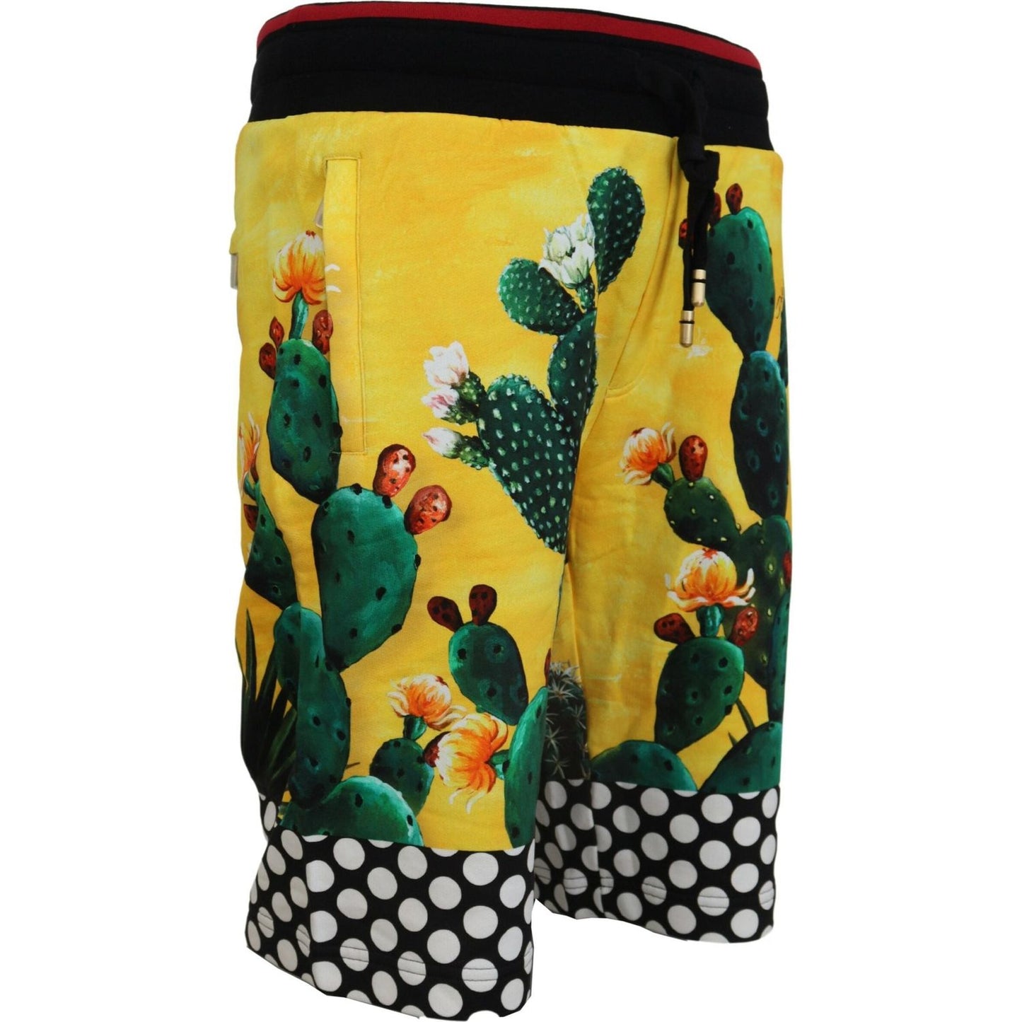 Dolce & Gabbana Multicolor Cactus Print Cotton Sweat Shorts