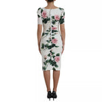 Dolce & Gabbana White Roses Print Stretch Silk Pleated Dress DR281035-40