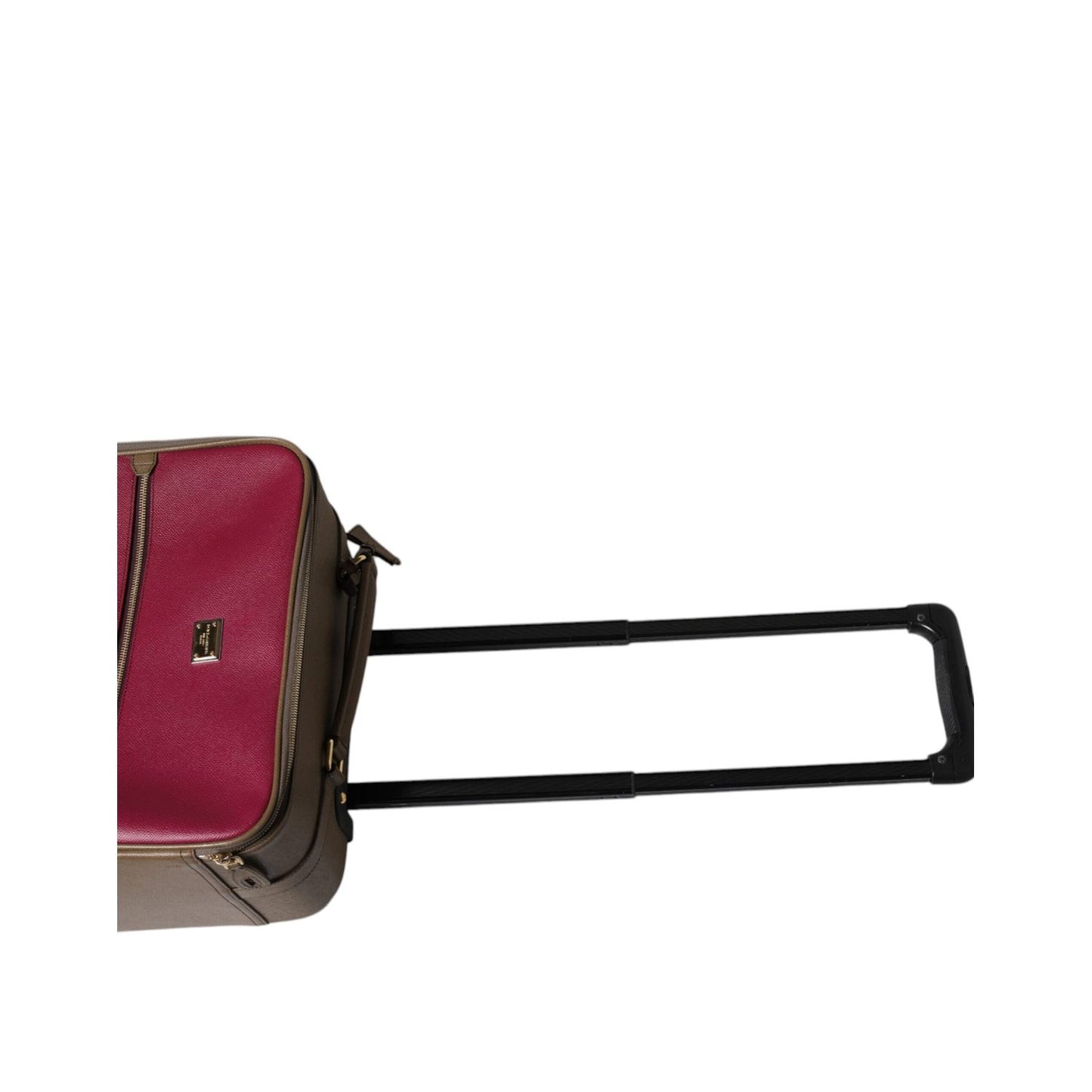 Dolce & Gabbana Fuchsia Khaki Leather Trolley Travel Wheel Suitcase Bag BAG4115