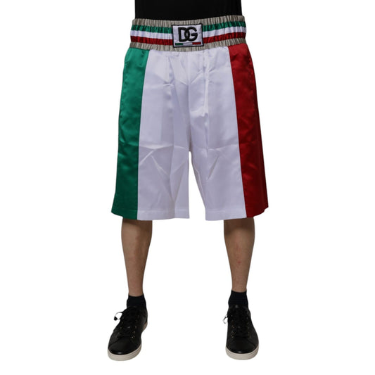 Dolce & Gabbana Multicolor Italia Polyester Bermuda Shorts PAN75250-50
