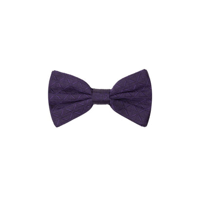 Dolce & Gabbana Purple Silk Bowty