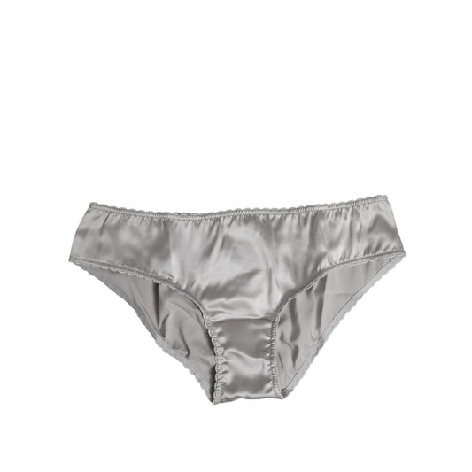 Dolce & Gabbana Gray Silk Stretch Bottom Low Waist Panty Underwear BIK1304-2