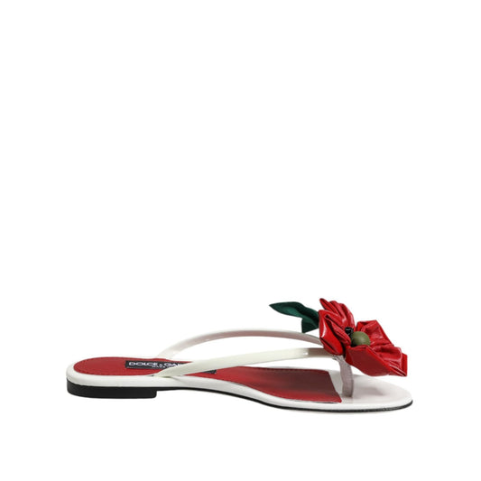 Dolce & Gabbana Red White KEIRA Flower Leather Sandals Shoes LA12785-36.5