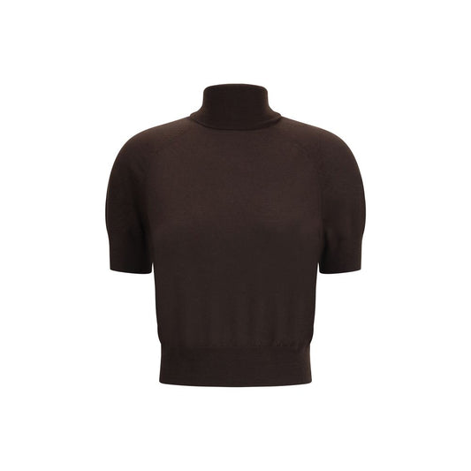 Petar Petrov Brown Merino Wool Top with ribbed high neck and slim fit, featuring ribbed trimmed hems for a sophisticated look.