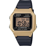 CASIO SPORT COLLECTION digital wristwatch, water resistant 5 ATM, quartz movement, metal case, resin strap, multifunction display.