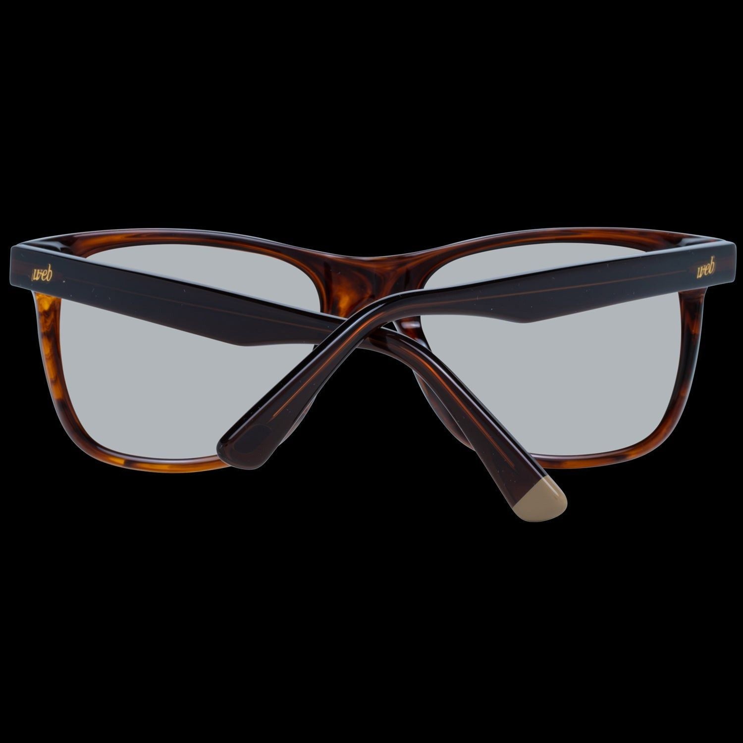 WEB SUNGLASSES